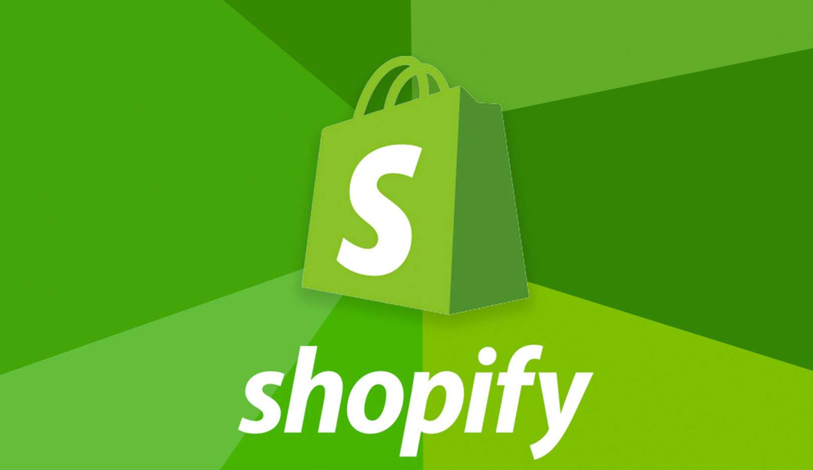 Shopify Website Designer Company in Noida